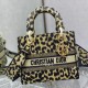 DIOR Lady 