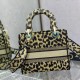 DIOR Lady 