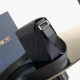 DIOR Oblique