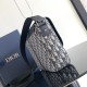 DIOR Oblique