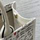 DIOR Tote