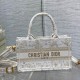 DIOR Tote