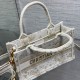 DIOR Tote
