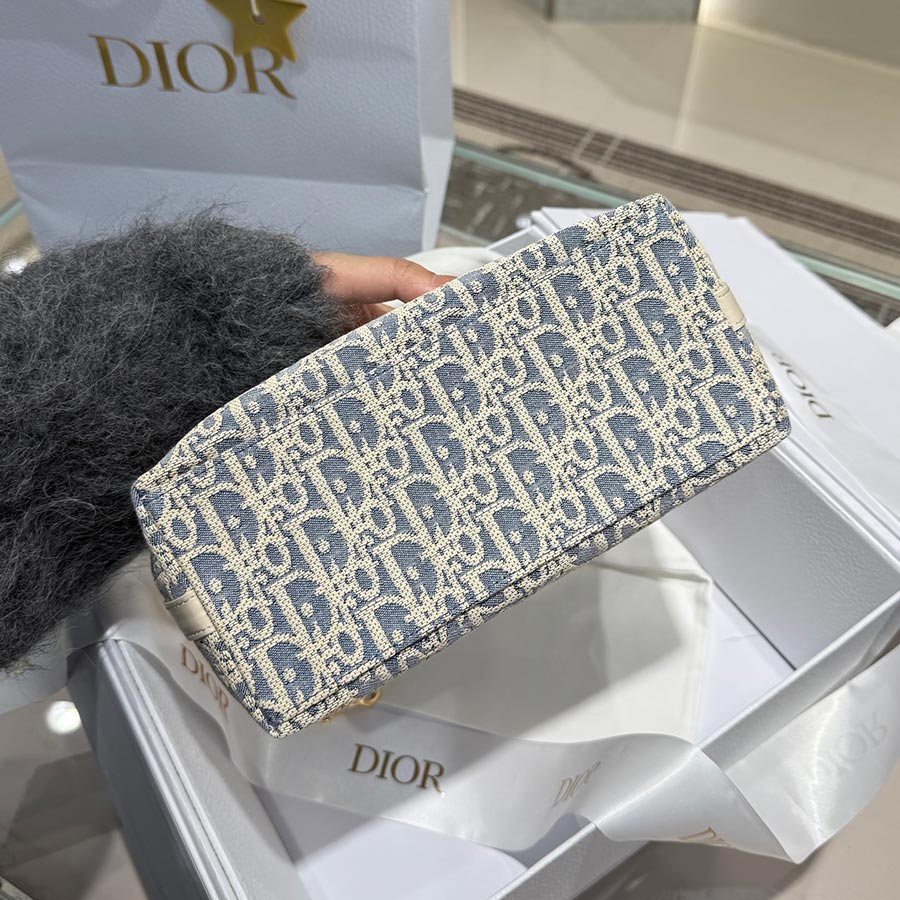 DIOR Hobo