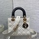 DIOR Lady Bing