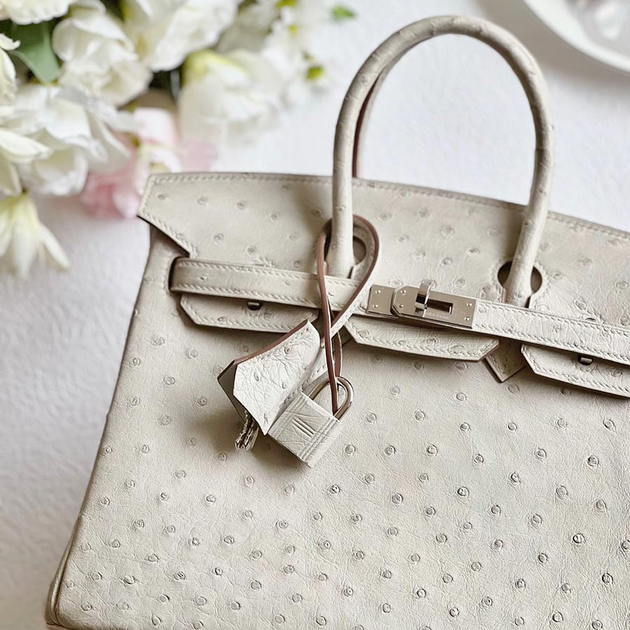 Hermès birkin hand bag