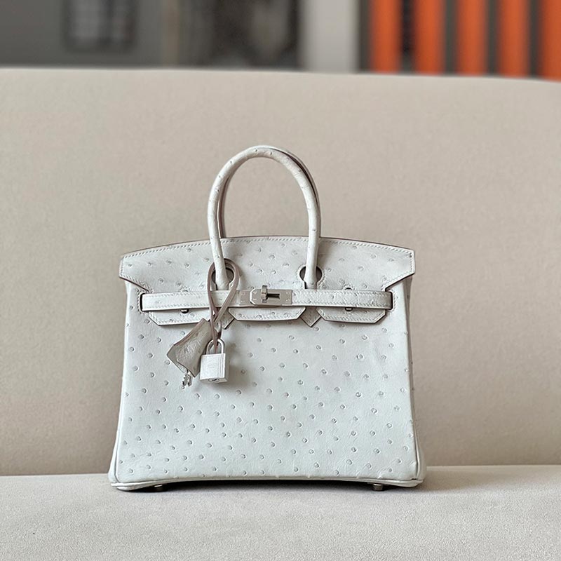 Hermès Birkin hand bag