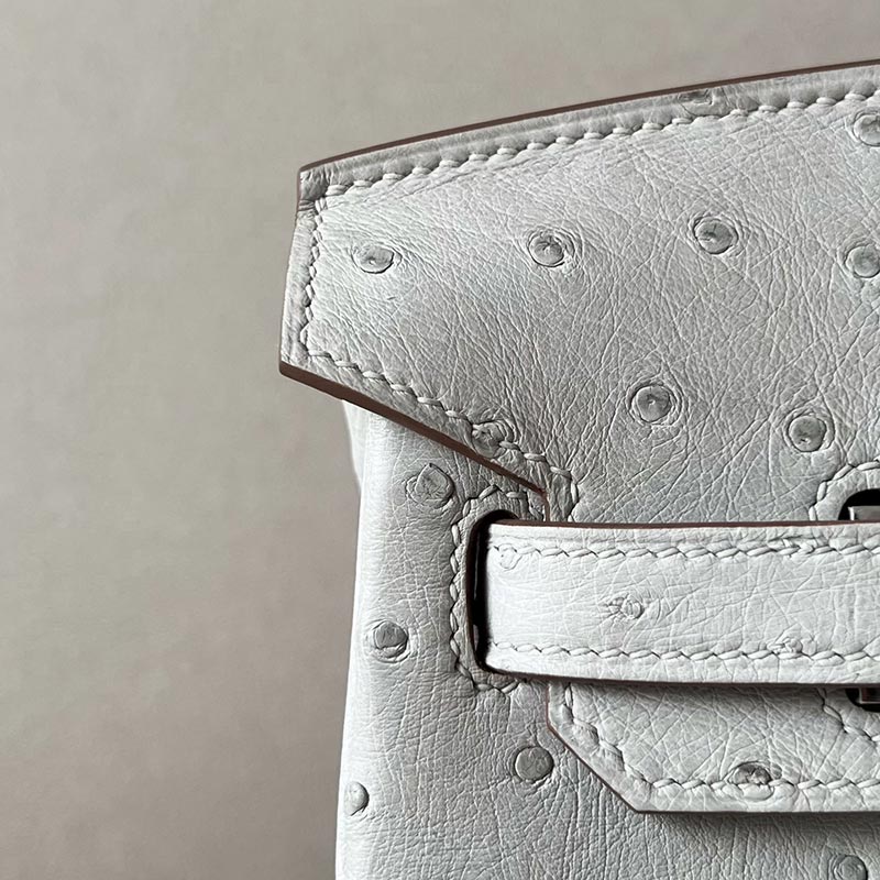 Hermès Birkin hand bag