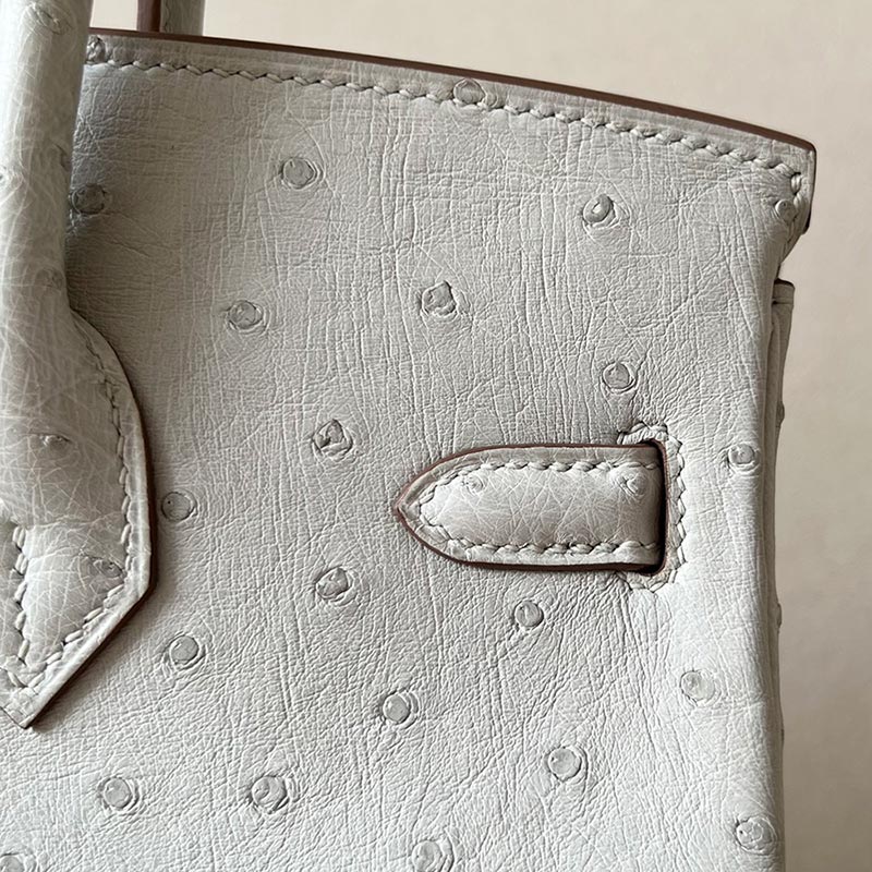 Hermès Birkin hand bag
