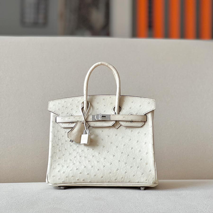 Hermès  Birkin hand bag