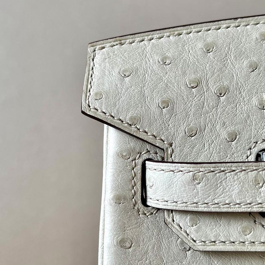 Hermès  Birkin hand bag