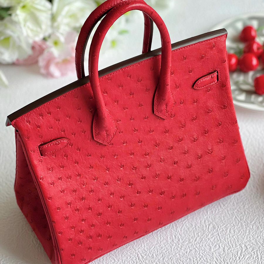 Hermès Birkin hand bag