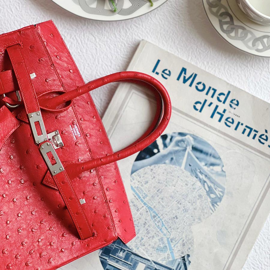 Hermès Birkin hand bag