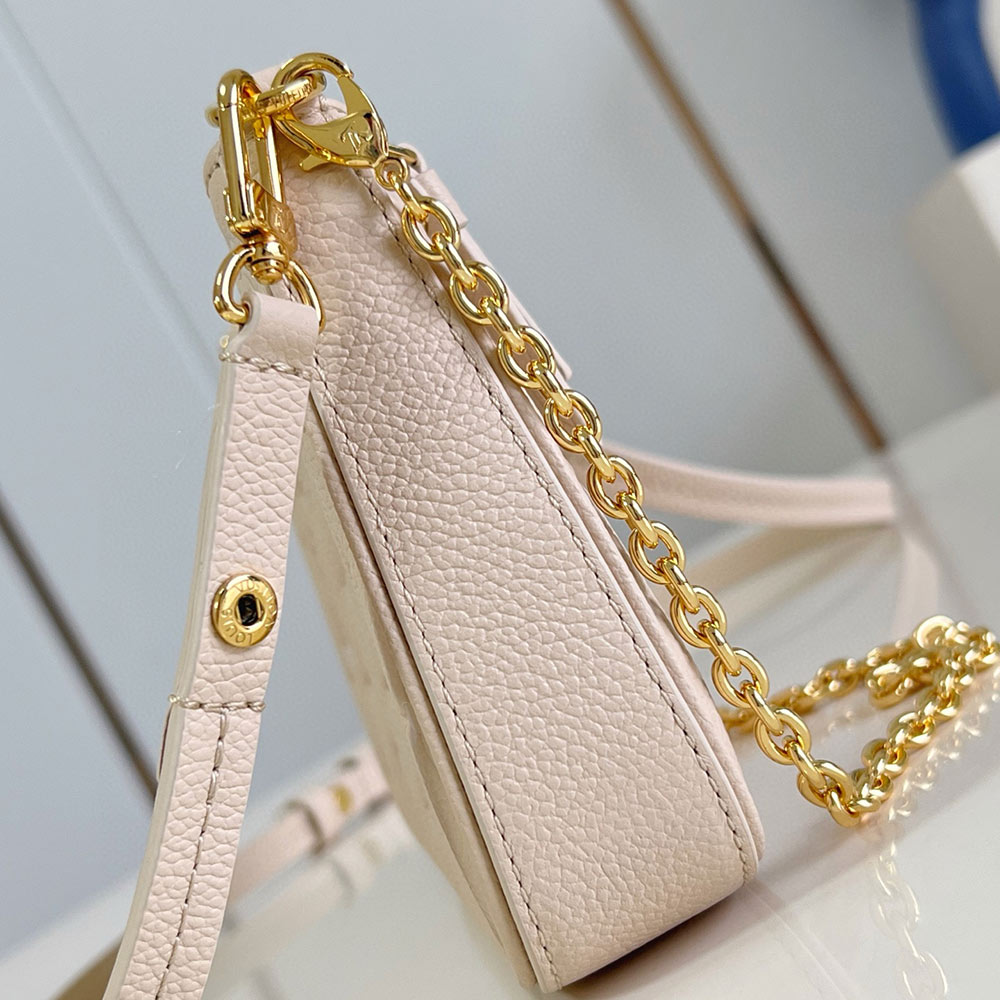 LOUIS VUITTON EASY POUCH