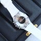 Audemars Piguet  Lady Tapisserie